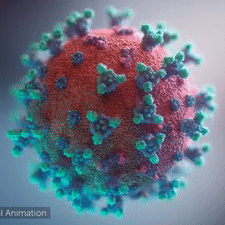 Overall view of the COVID-19 virus. Note the spikes blue that adorn the outer surface,red, which impart a corona like appearance. (Fusion Animation).
