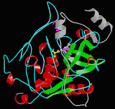 Image:CTSBFig1.jpg