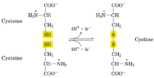 Image:Disulfide bonds in cysteine.gif