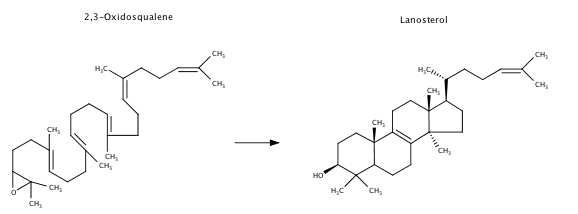 Image:Lanosterol1.png