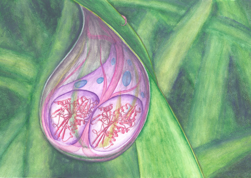 Image:March2017.png