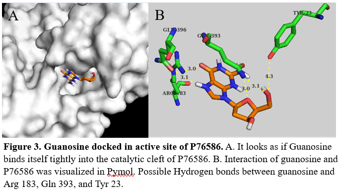 Image:Docked_guanosine.png
