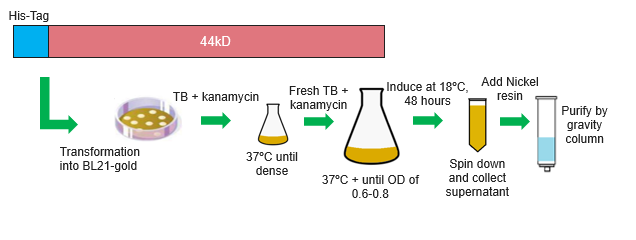 Image:Workflow P76586.png