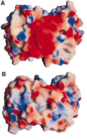 Image:Electronegativity.png