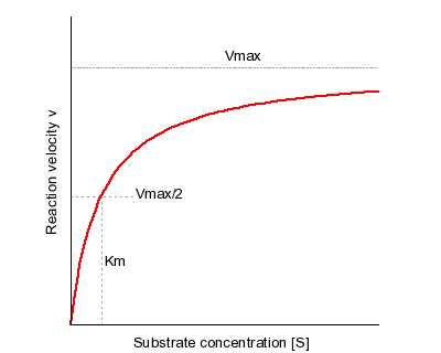 Image:image-1.png