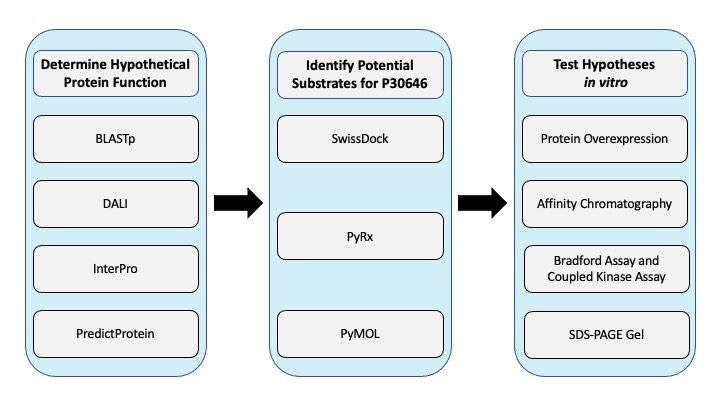 Image:P30646 Workflow.jpg