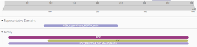 Image:UniProt50456V2.png