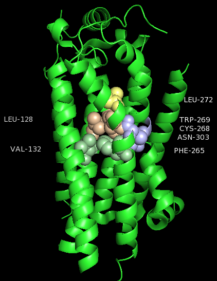 Image:Cluster 3 new.png