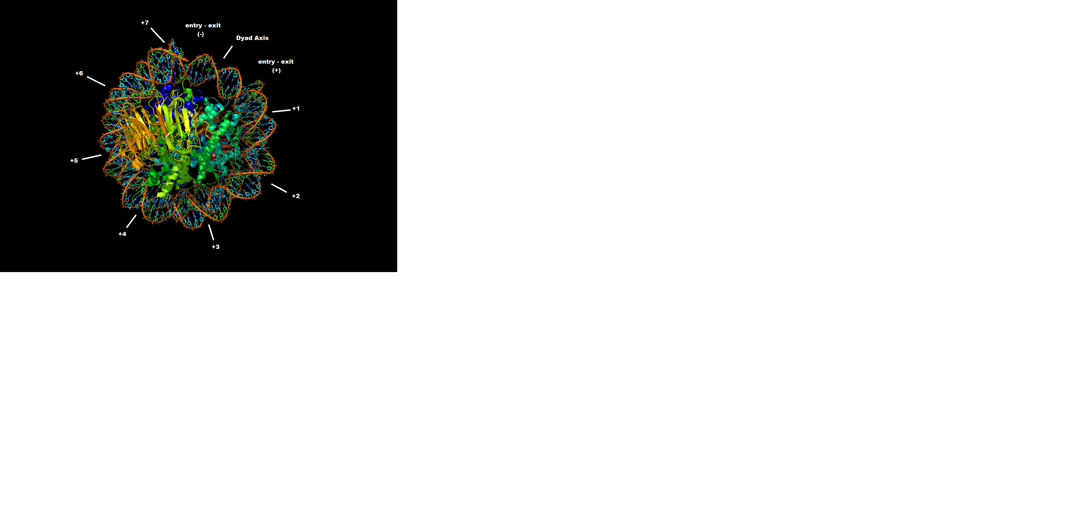 Image:Dyad nucleosome.png