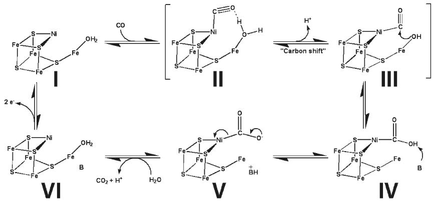 Proposed mechanism for CODH activity in the C-cluster. 