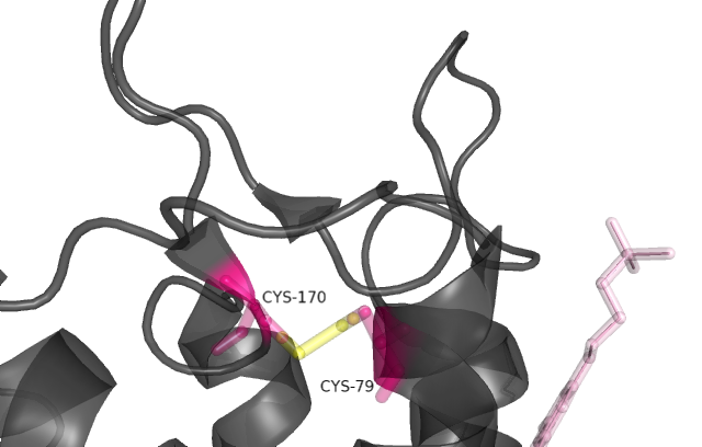 Image:Disulfide_Bond_Ray_Traced.png