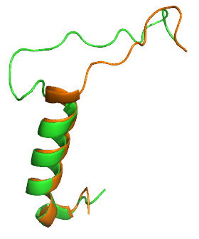 Image:SCT rAmy Overlay.png