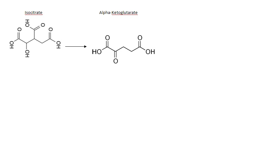 Image:Chemicals isocitrate.jpg