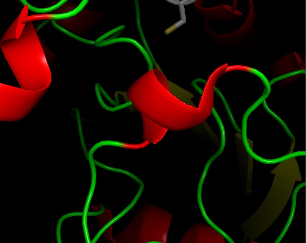 Image:Helix310.jpg