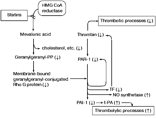 Image:Statin mechanism.gif