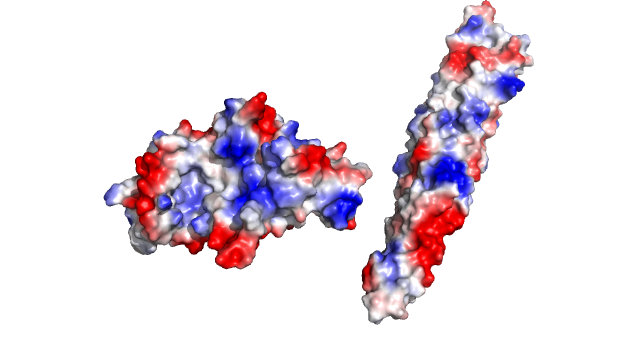 Image:EspG5 Electrostatics W.png