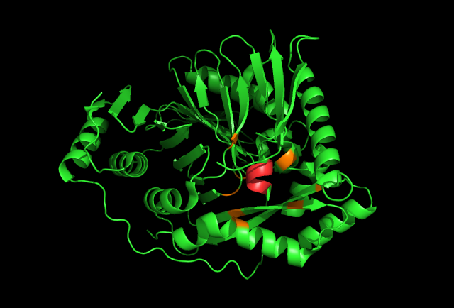 Image:Helix moves with ligand binding.png