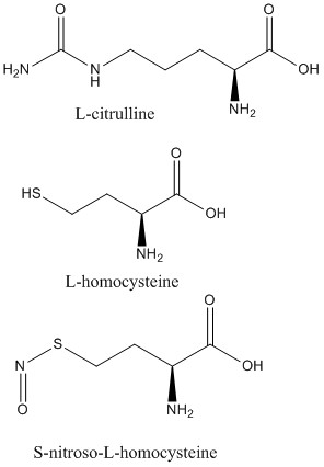 Figure 6. Structures of DDAH inhibitors.