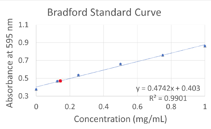 Image:P30646 Bradford Assay.png