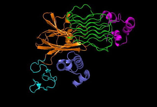 Image:Proteo ALK-ALKAL Dimer.png