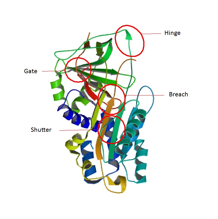 Image:Structure region.jpg