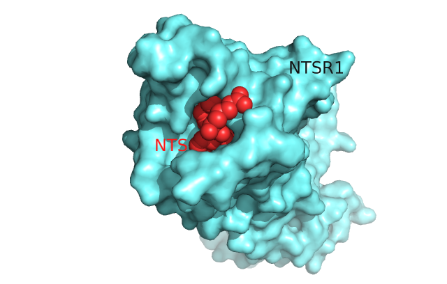 Image:Surface_Protein_red.png