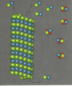 Image:tubulin2.jpg