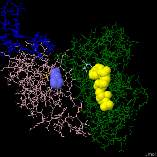 Image:3MAS.A 1T0L.A pdb14.png