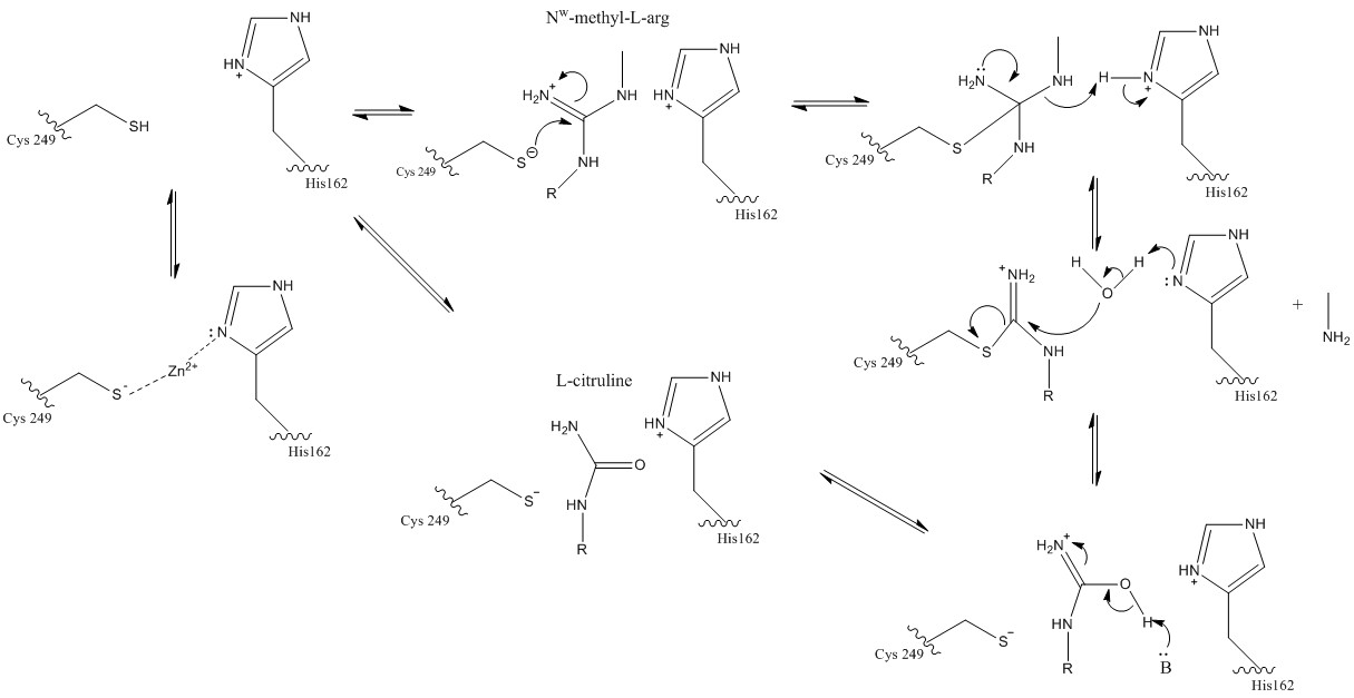 Image:Proteopediaaaaaaa.jpg