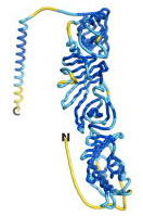 Image:HCO ESM Tube sc70 271 227 crop.jpg