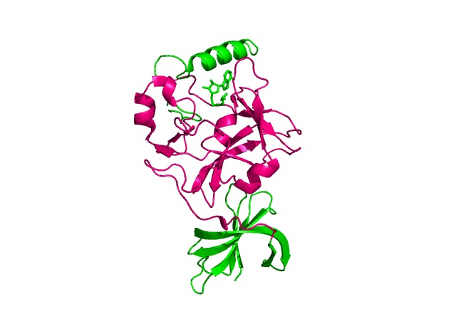 Image:Domain highlight.jpg