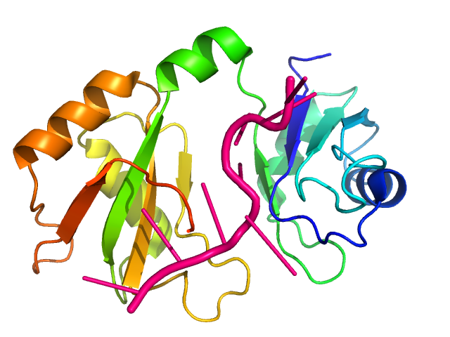 Image:Hrp1 image1.png