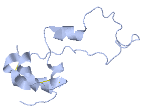 Image:Insulin2.png