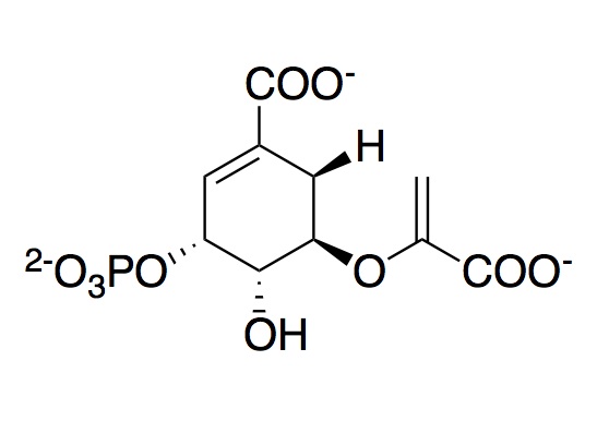 Image:EPSP.jpg