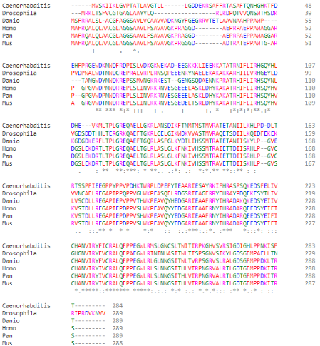 Image:Especies.png