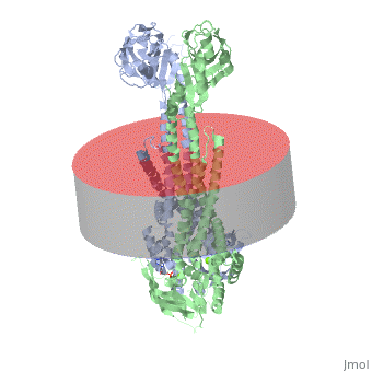 Image:Translucent Cylinder.gif