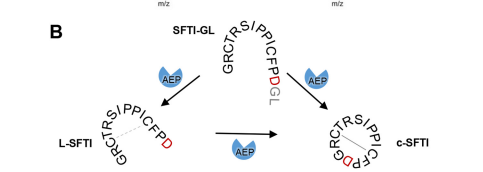Image:Cyclization.png