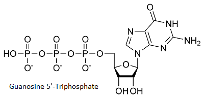 Image:GTP_structure.png