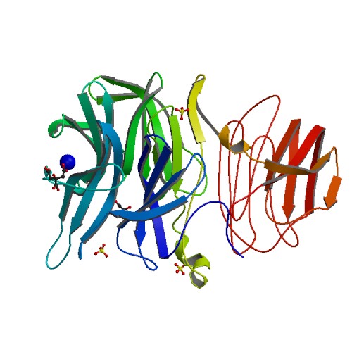 Image:Beta-fructosidase.jpg