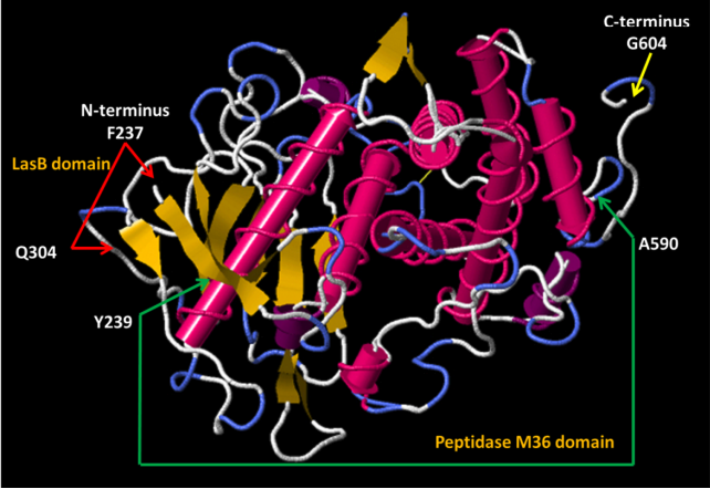 Image:Camelo, lopez-pazos 2022 fig 7-CClic.png