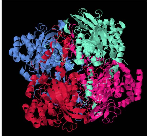 Image:Catalase.jpg