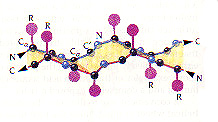 Image:beta.jpg