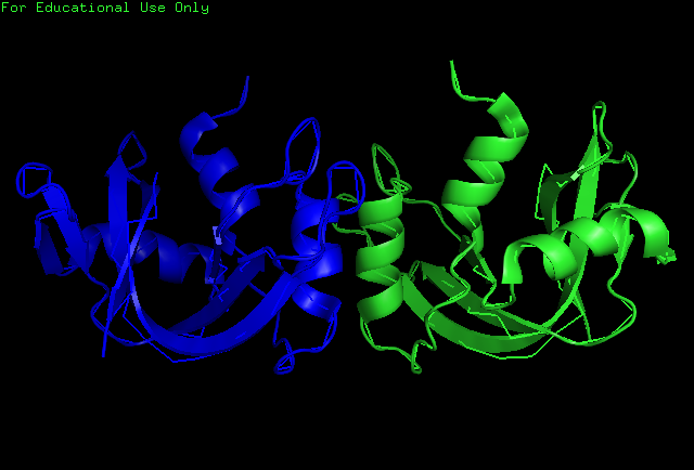 Image:Kroupa RNase Dimer2.png