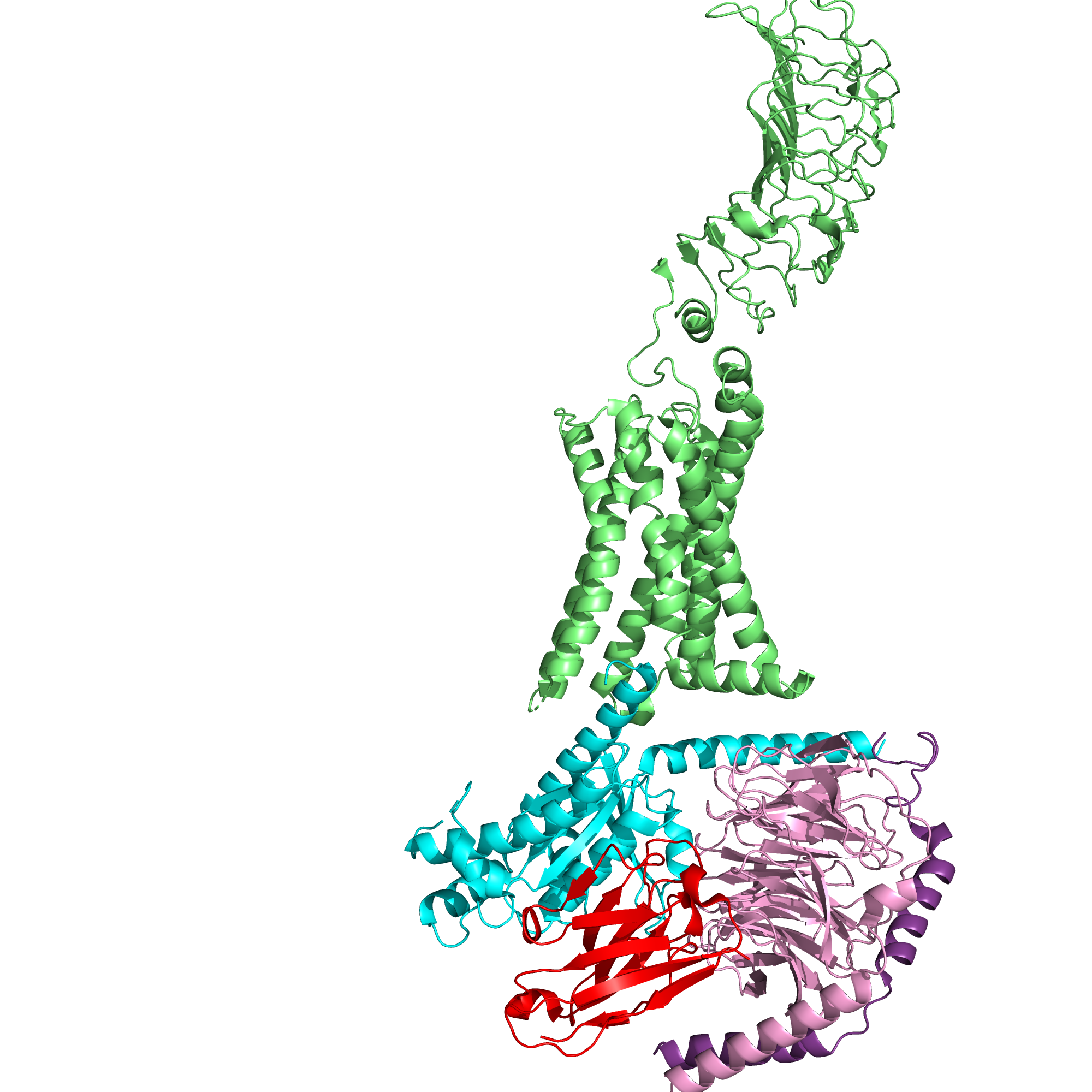 Image:General Structure Receptor.png