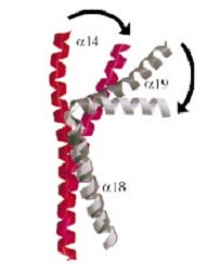 Image:helixrot.jpg
