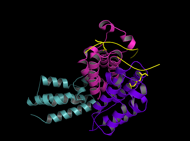 Image:ProteopediaTest.png