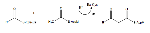 Figure 3. Step 3 - Condensation  