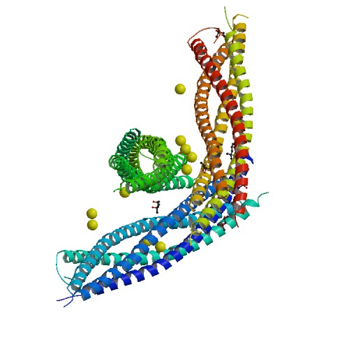 Image:Syntaxincomplex.jpg