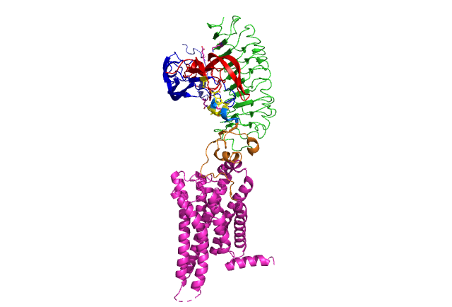 Image:TSHR-TSH.png