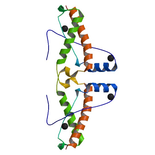 Image:3haf bio r 500.jpg
